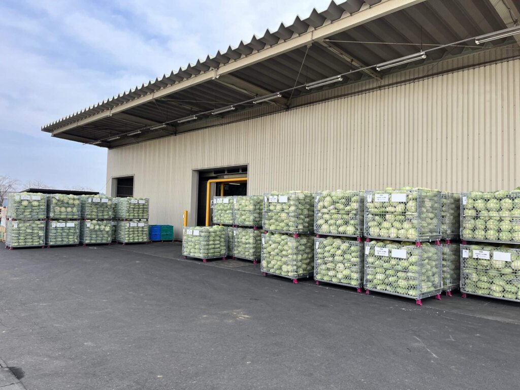 農産用鉄コンテナ「ベジコン」の導入事例・茨城県農家様